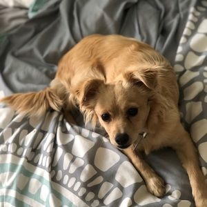 Meet your Posher, Madison